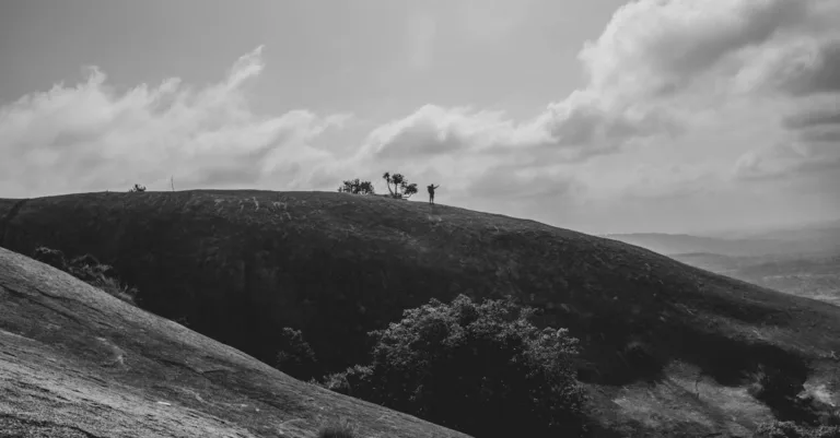 découvrez le hill holder, un système innovant qui facilite les démarrages en côte en empêchant le véhicule de reculer, pour une conduite plus sûre et confortable.