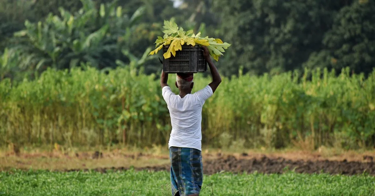 découvrez les pratiques innovantes et respectueuses de l'environnement en agriculture durable pour préserver les ressources naturelles et garantir une production alimentaire saine et équitable.
