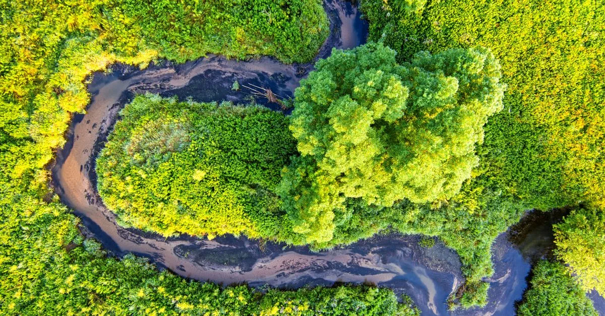 découvrez les réglementations environnementales : lois et normes visant à protéger la nature, promouvoir le développement durable et encadrer les activités humaines pour préserver notre planète.